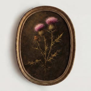 Può includere: Stampa botanica incorniciata di forma ovale, raffigurante cardi. Le foglie verdi spinose contrastano con i fiori viola. La cornice dorata aggiunge un tocco vintage. L'opera evoca illustrazioni botaniche tradizionali.