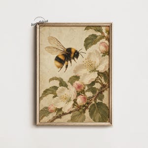 Puede incluir: Una lámina de arte enmarcada que muestra una ilustración detallada de un abejorro en vuelo cerca de una rama de flores de manzano blancas y rosas. La obra tiene un fondo color crema con textura vintage y un marco dorado fino.