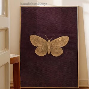 May include: A framed print featuring a detailed illustration of a butterfly in shades of gold. The butterfly is centered on a dark burgundy textured background. The frame is a light wood color, and the print is displayed in a room with natural light.