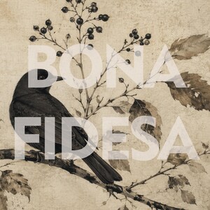Peut inclure: Une illustration aux tons s&eacute;pia repr&eacute;sentant un oiseau noir perch&eacute; sur une branche avec des baies sombres et des feuilles. Le texte BONA FIDESA est superpos&eacute; en grandes lettres capitales blanches semi-transparentes sur l'&oelig;uvre.