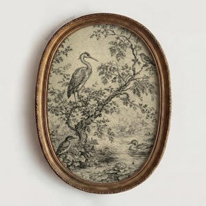 Puede incluir: Obra de arte enmarcada ovalada con una escena pastoral en blanco y negro. El marco es dorado con un diseño ornamentado. La obra representa aves, árboles y agua. Un avefría está posada en una rama.