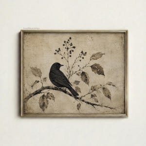 Peut inclure: Une impression d'art encadr&eacute;e repr&eacute;sentant un oiseau noir perch&eacute; sur une branche avec des feuilles et de petites baies. L'&oelig;uvre pr&eacute;sente un fond s&eacute;pia att&eacute;nu&eacute; avec un aspect textur&eacute; et vieilli. Le texte bonafidevintage est visible en haut &agrave; gauche.