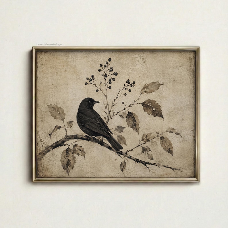 Peut inclure: Une impression d'art encadr&eacute;e repr&eacute;sentant un oiseau noir perch&eacute; sur une branche avec des feuilles et de petites baies. L'&oelig;uvre pr&eacute;sente un fond s&eacute;pia att&eacute;nu&eacute; avec un aspect textur&eacute; et vieilli. Le texte bonafidevintage est visible en haut &agrave; gauche.