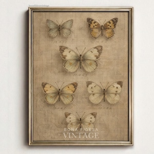 May include: A framed vintage print featuring six butterfly specimens. The butterflies are in various shades of brown, tan, and cream, set against a textured, beige background. The print is framed in a gold-colored frame, with the text "BONA FIDESA VINTAGE" at the bottom.