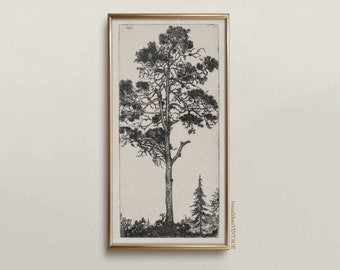 Vintage Pine Tree Drawing - Antique Poster -  Botanical Wall Art - Muted Colors Tree Print - Light and Dark Academia Decor - bonafidesa
