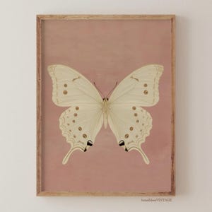 Vintage Weißer Schmetterling Druck, neutrale launische Insekt druckbare Wandkunst, Bauernhaus rosa Dekor, antike Motte Digitaldruck