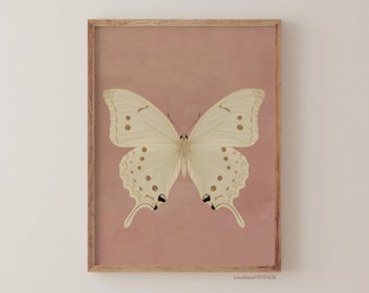 Vintage White Butterfly Print, Neutralny Moody Insect Printable Wall Art, Dekoracja Farmhouse Pink, Cyfrowe wydruki antycznych obrazów ćmy