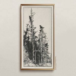 Vintage tree print, Antique botanical drawing, Printable tree wall art, Vintage poster