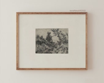 Antique Sketch Of a Forest, Downloadable Vintage Etching print, Printable Fine Art, Printable Wall Art