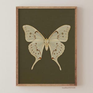 Vintage White Butterfly Print, Dark Moody Insect Printable Wall Art, Cottagecore Saige Green Decor Digital, Antique Moth Painting