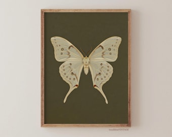 Vintage White Butterfly Print, Dark Moody Insect Printable Wall Art, Cottagecore Saige Green Decor Digital, Antique Moth Painting