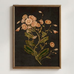 May include: A framed botanical print featuring a detailed illustration of peach-colored flowers and green leaves against a dark background. The artwork is enclosed in a gold-toned frame, creating a vintage aesthetic. The floral arrangement is the focal point of the print.