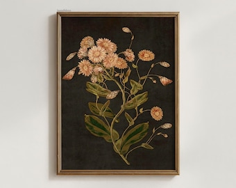Dunkles Blumenmuster: Vintage Botanisches Bauernhaus Wandbild (Digitaler Download)