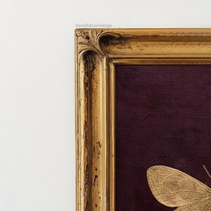 May include: Ornate gold-toned framed artwork featuring a moth against a deep purple background. The frame has a detailed, vintage design. The artwork is from bonafidesavintage.