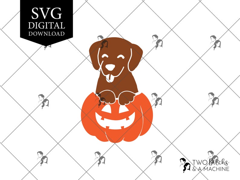 Dog Pumpkin SVG Digital Download, Svg Files for Cricut, Silhouette - Etsy