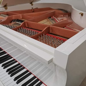 Selfplaying Grand Piano