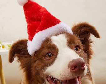 dog santa hat