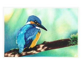 Kingfisher Fine Art Print