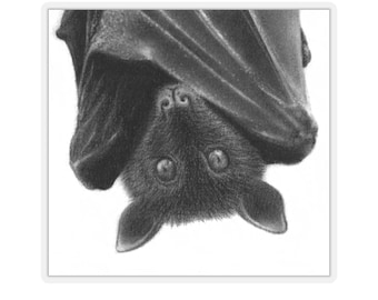 Bat Sticker