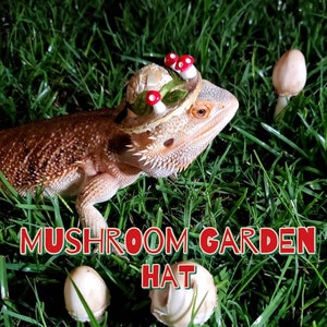 Mushroom Garden Hat for Reptiles or Small Pets / Bearded Dragon / Turtle / Guinea Pig / Rat / Iguana / Snake / Hamster + more!