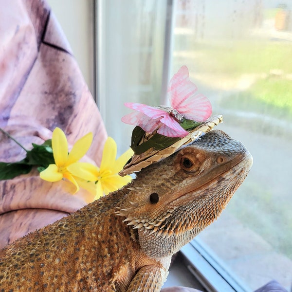 Sombrero de fiesta de té de primavera (versión 2) para reptiles o mascotas pequeñas/dragón barbudo/tortuga/conejillo de Indias/rata/iguana/serpiente/hámster ¡y más!