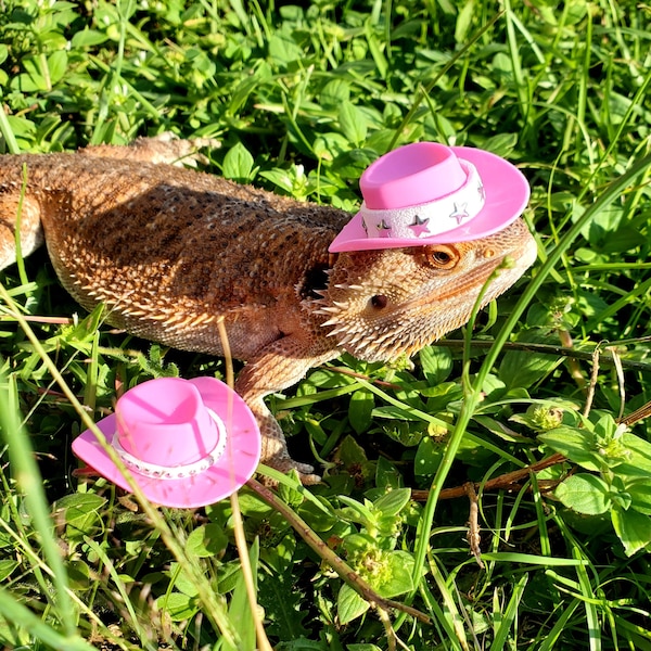 Pink Cowboy Hat w/ White Suede for Reptiles or Small Pets / Bearded Dragon / Turtle / Guinea Pig / Rat / Iguana / Snake / Hamster + more!