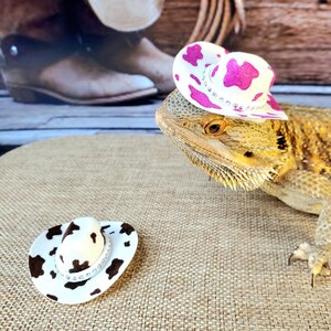 Cow Print Cowboy Hat for Reptiles or Small Pets / Bearded Dragon / Turtle / Guinea Pig / Rat / Iguana / Snake / Hamster + more!