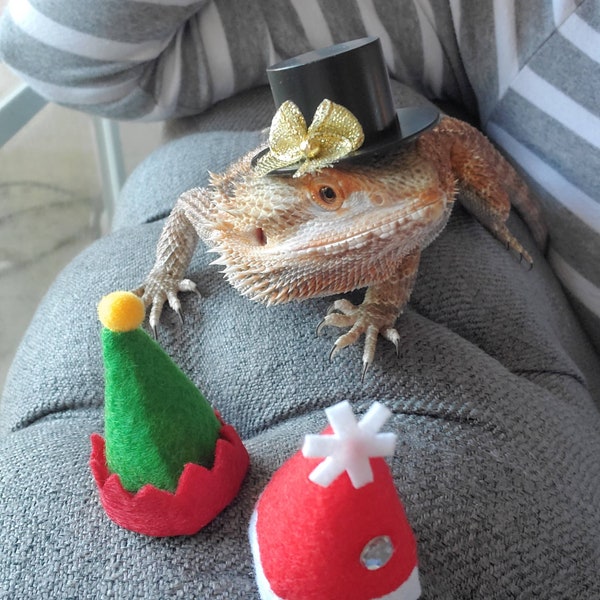 Reptile & Rodent Micro Christmas Hats for the Holiday Season / Bearded Dragon / Turtle / Guinea Pig / Rat / Iguana / Snake / Hamster + more!