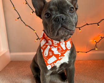 May include: A gray French Bulldog wearing an orange Halloween-themed bandana with white ghost illustrations and the word "Boo!". The dog is sitting on a light-colored carpet, with a string of orange lights in the background.