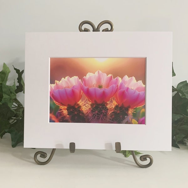 Digital Artwork of Gorgeous Pink Cactus Flowers, Matted Artwork, Golden Background Sky, 007