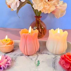 Pode incluir: Uma cole&ccedil;&atilde;o de velas acesas em forma de flor em v&aacute;rias cores, incluindo rosa, laranja e roxo, dispostas em uma bandeja de m&aacute;rmore. Um vaso de flores est&aacute; ao fundo. As velas t&ecirc;m a forma de rosa, tulipa e outros desenhos florais. A marca "CRYSTAL SPRING" &eacute; vis&iacute;vel.