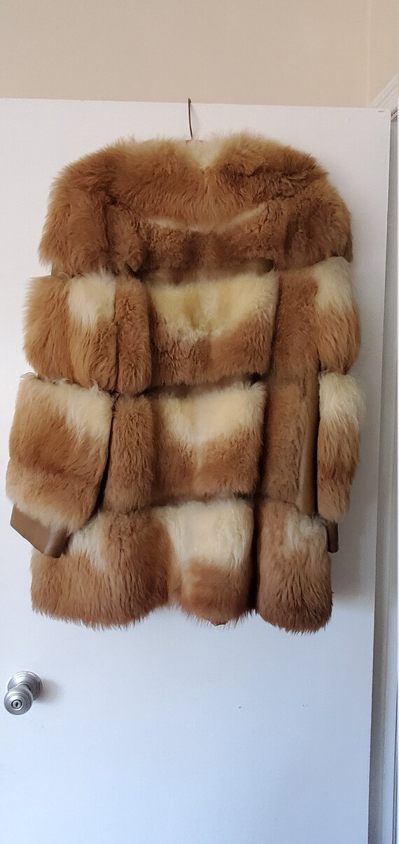 Beautiful Rabbit Coat with Leather trim and Paisl… - image 2