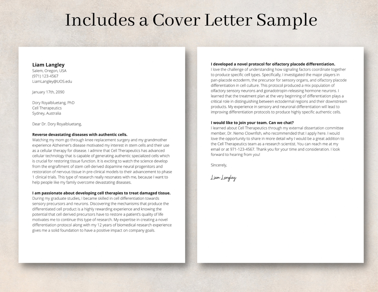 Professional Cover Letter Template for Job Application Template ...