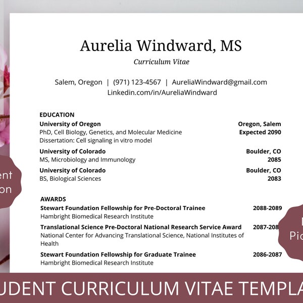 Student Curriculum Vitae Template Simple CV Template for Job Application Template Recruiter Academic CV Research CV Science cv Graduate cv