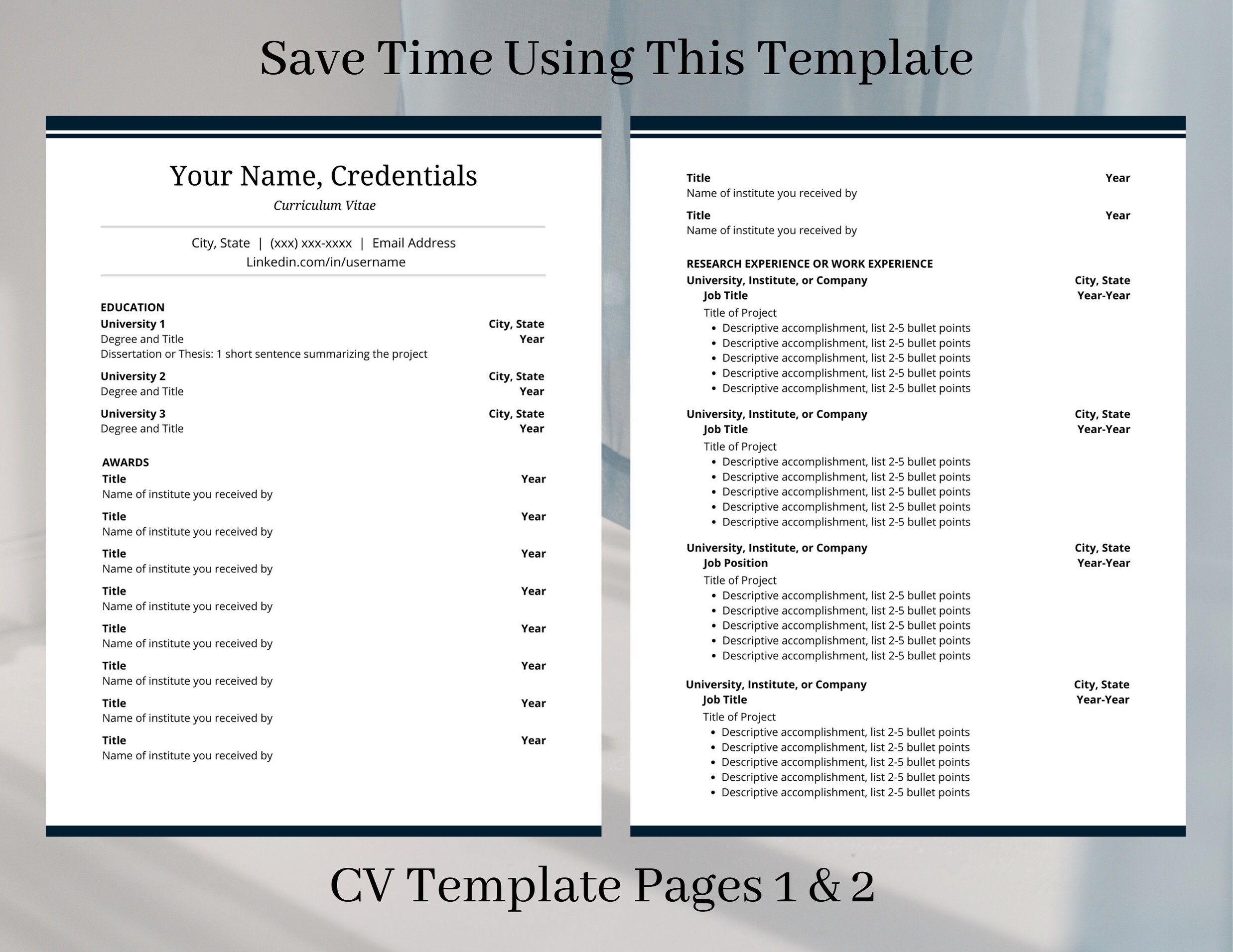 Phd CV Template Student CV Template Word Professional Cover Letter