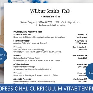 Professional Curriculum Vitae Template For Job Application Template Job Interview Recruitment Template Academic CV Research CV Template Word