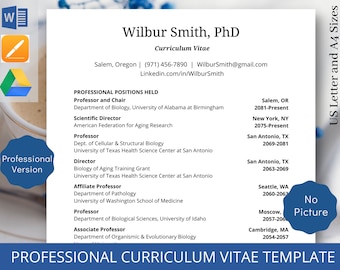 Professional Curriculum Vitae Template For Job Application Template Job Interview Recruitment Template Academic CV Research CV Template Word