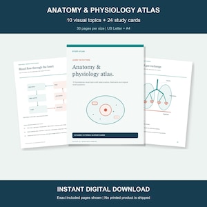 Ensemble d'études d'anatomie et de physiologie, 10 schémas, 24 fiches (téléchargement PDF)