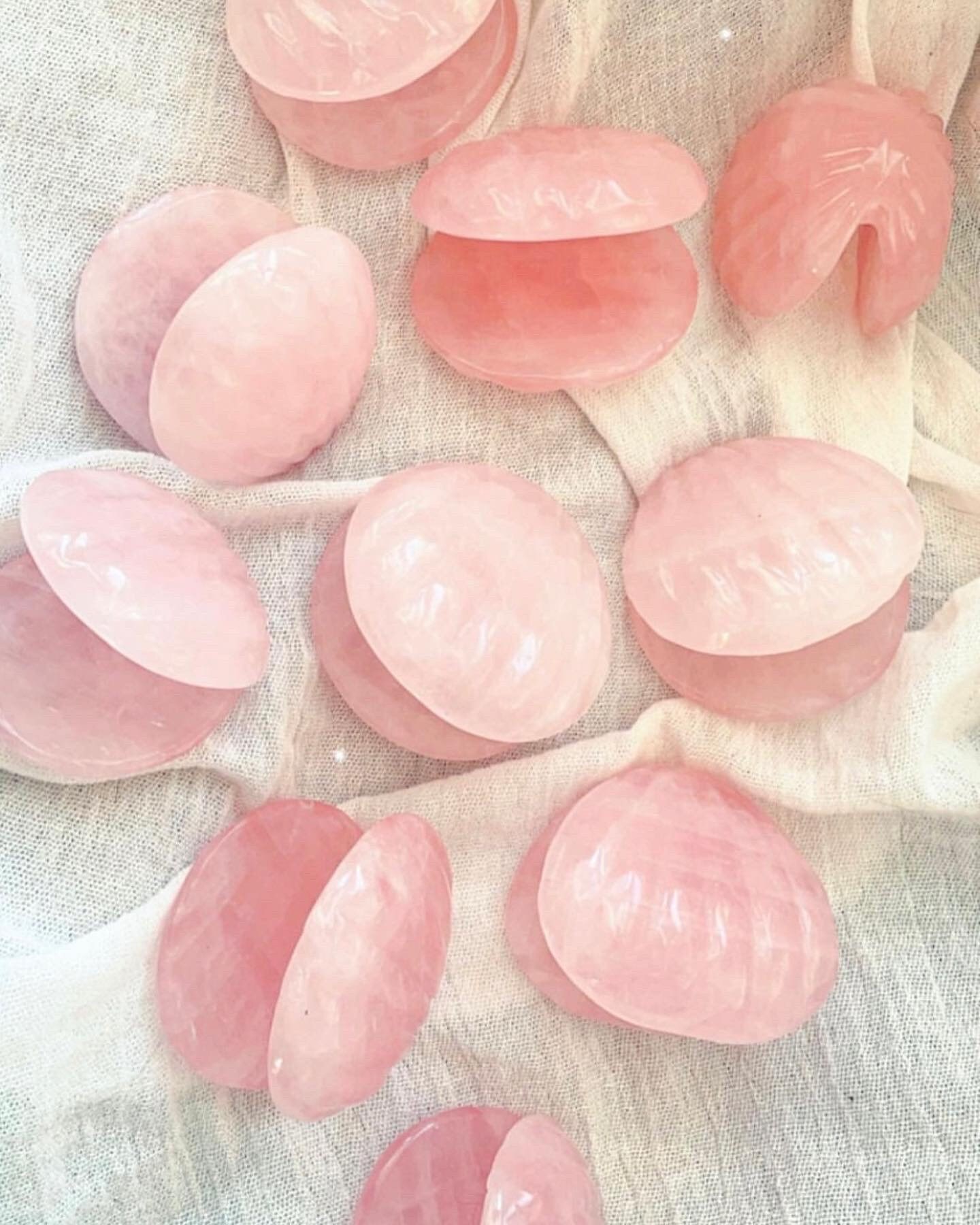 Rose Quartz Clamshells