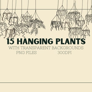 Hanging Plants Drawing - Etsy
