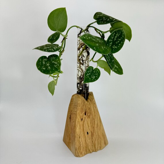 Wooden vase with test tube, plant cultivation glass, flower plant cultivation glass, flower vase glass design wooden base, wooden vase decoration vulva