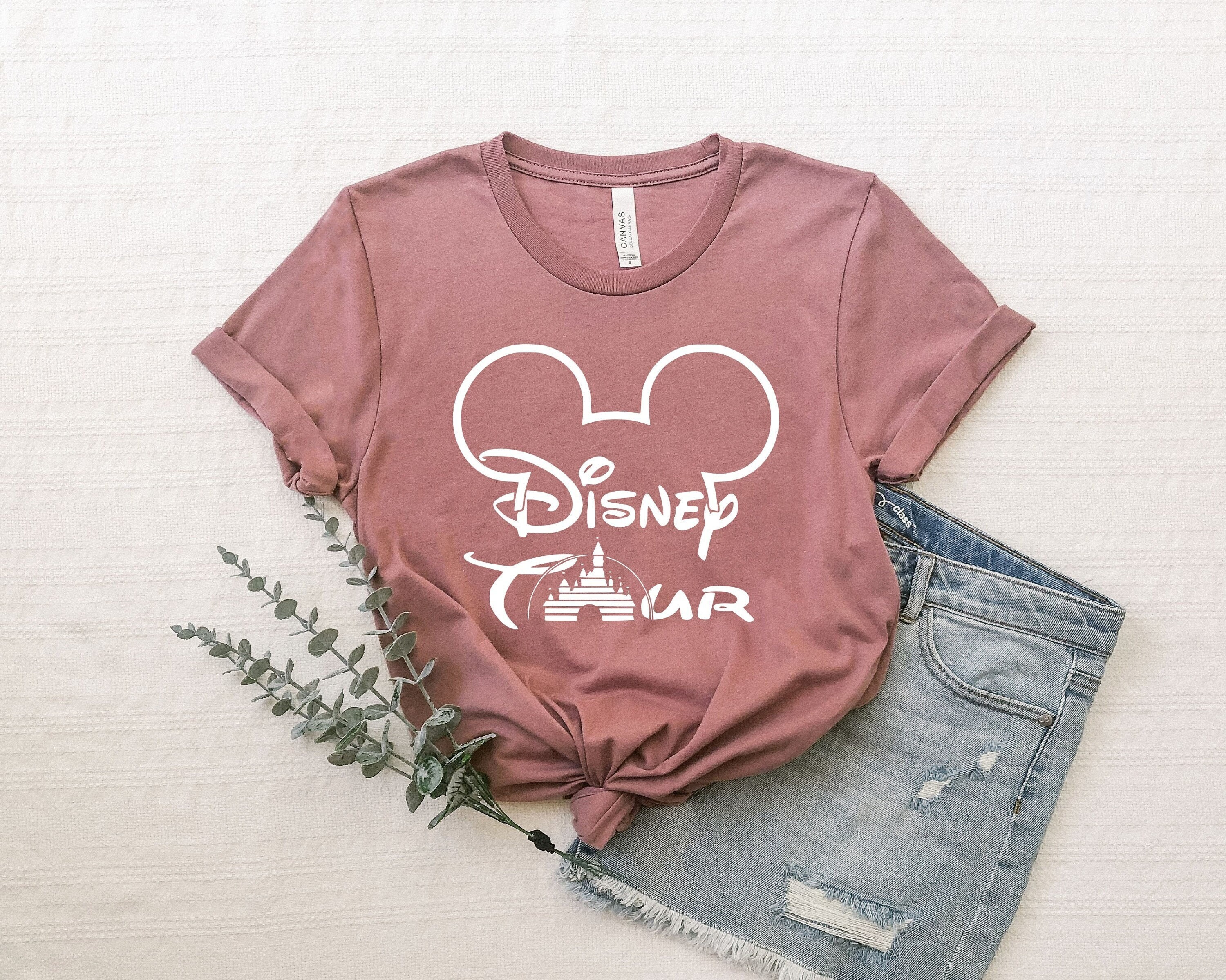 Discover Disney Tour Disneyland Tour Shirt