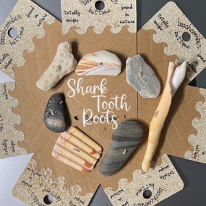 May include: A collection of unique, natural buttons made from seashells and stones. The buttons are various shapes and colors, including white, tan, and gray. The text "Shark Tooth Roots" is displayed in the center.