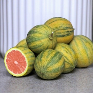 Pink Variegated Eureka Lemon Tree - 12-24&quot; Tall - Live Citrus Plant - Ships Potted - Grafted - No Shipping to FL, CA, TX, L.A, A.Z, A.L, H.I