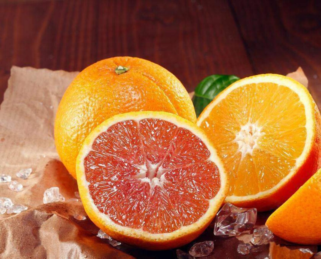 Dwarf Cara Cara Red Navel Orange Tree 2630 Tall Etsy