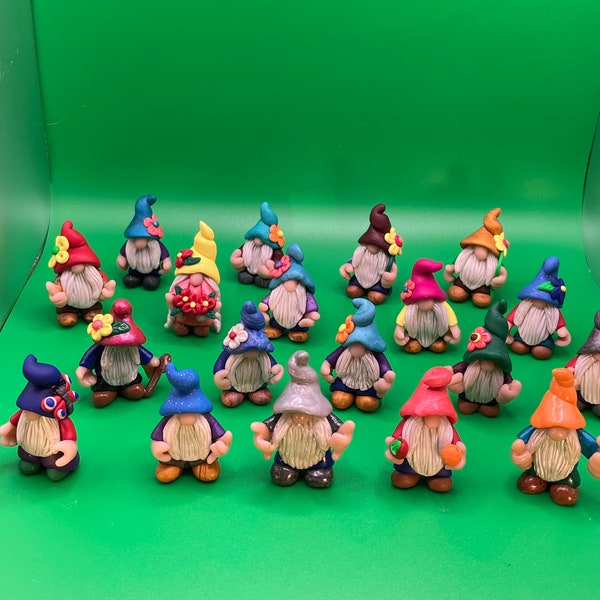 Mini Gnomes