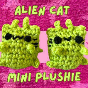 Peut inclure: Deux peluches de chat extraterrestre en crochet vert avec des yeux noirs et une bouche noire. Les peluches sont sur un fond rose avec le texte "ALIEN CAT MINI PLUSHIE".