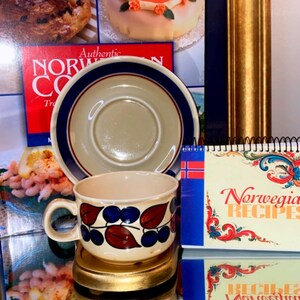 Figgjo Norden , Stavangerflint &#39;blueberry’ teacup and Saucer, Norwegian Vintage.