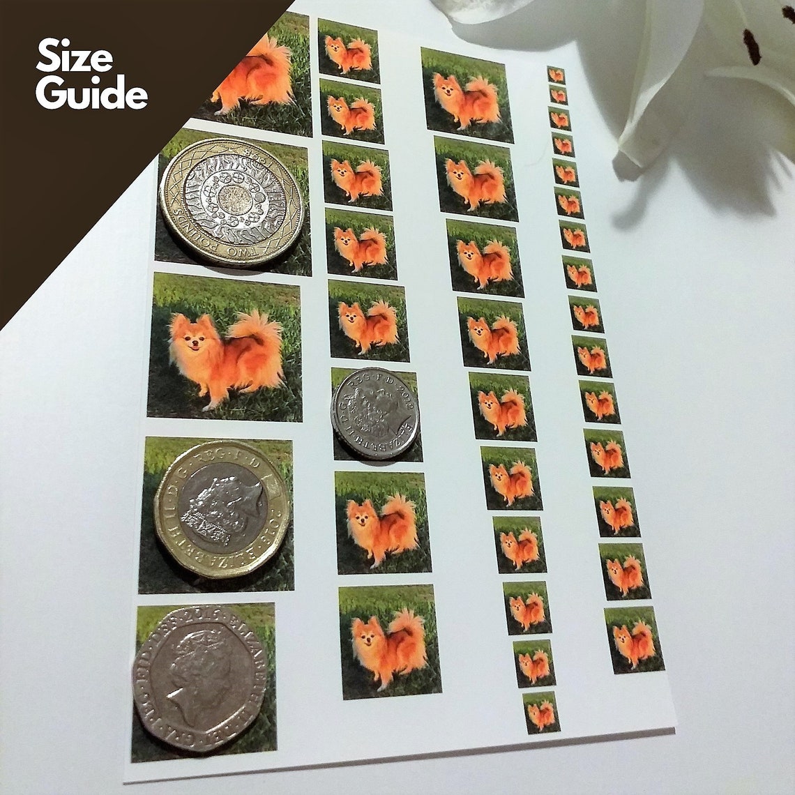 Printed Locket Sized Photo Locket Photo Printing Locket Etsy