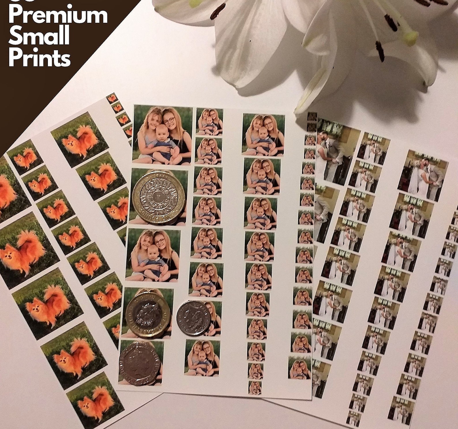 Printed Locket Sized Photo Locket Photo Printing Locket Etsy
